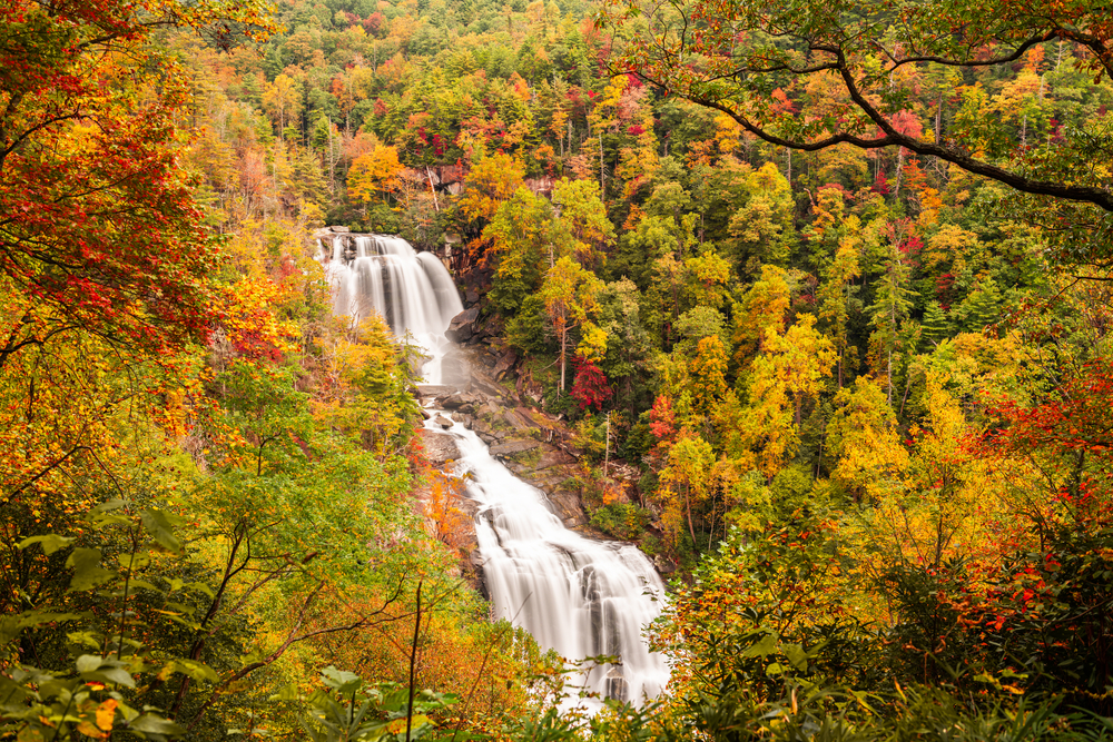 View of waterfall in North Carolina surrounded by vibrant fall colors
